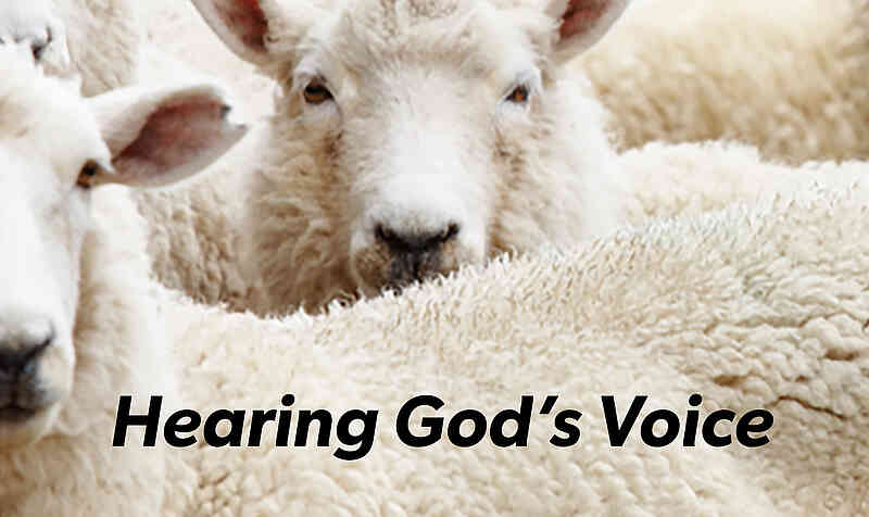 But he who enters by the door is the shepherd of the sheep…and the sheep follow him, for they know his voice.