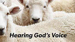 But he who enters by the door is the shepherd of the sheep…and the sheep follow him, for they know his voice.