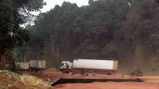 The jungle dwarfs our big trucks.
