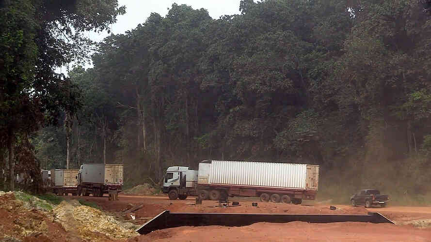 The jungle dwarfs our big trucks.