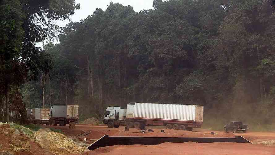 The jungle dwarfs our big trucks.