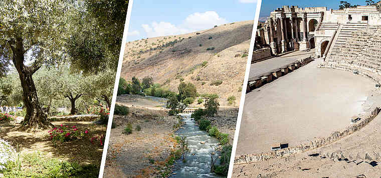 [Translate to Français:] Beth Shean, Jordan River Valley to Jerusaelm, Mt. of Olives, Palm Sunday Path to Garden of Gethsemane.