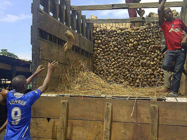 Yams are loaded, ready for sale at the market.