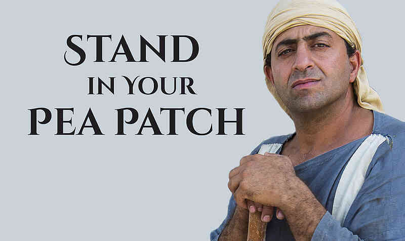 Stand in your pea patch Stand in your pea patch
